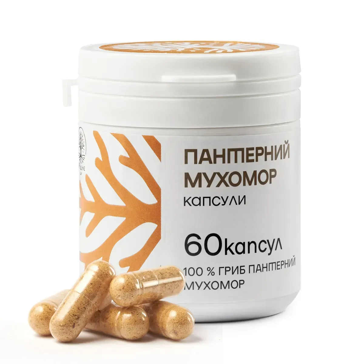 Мухомор Пантерний