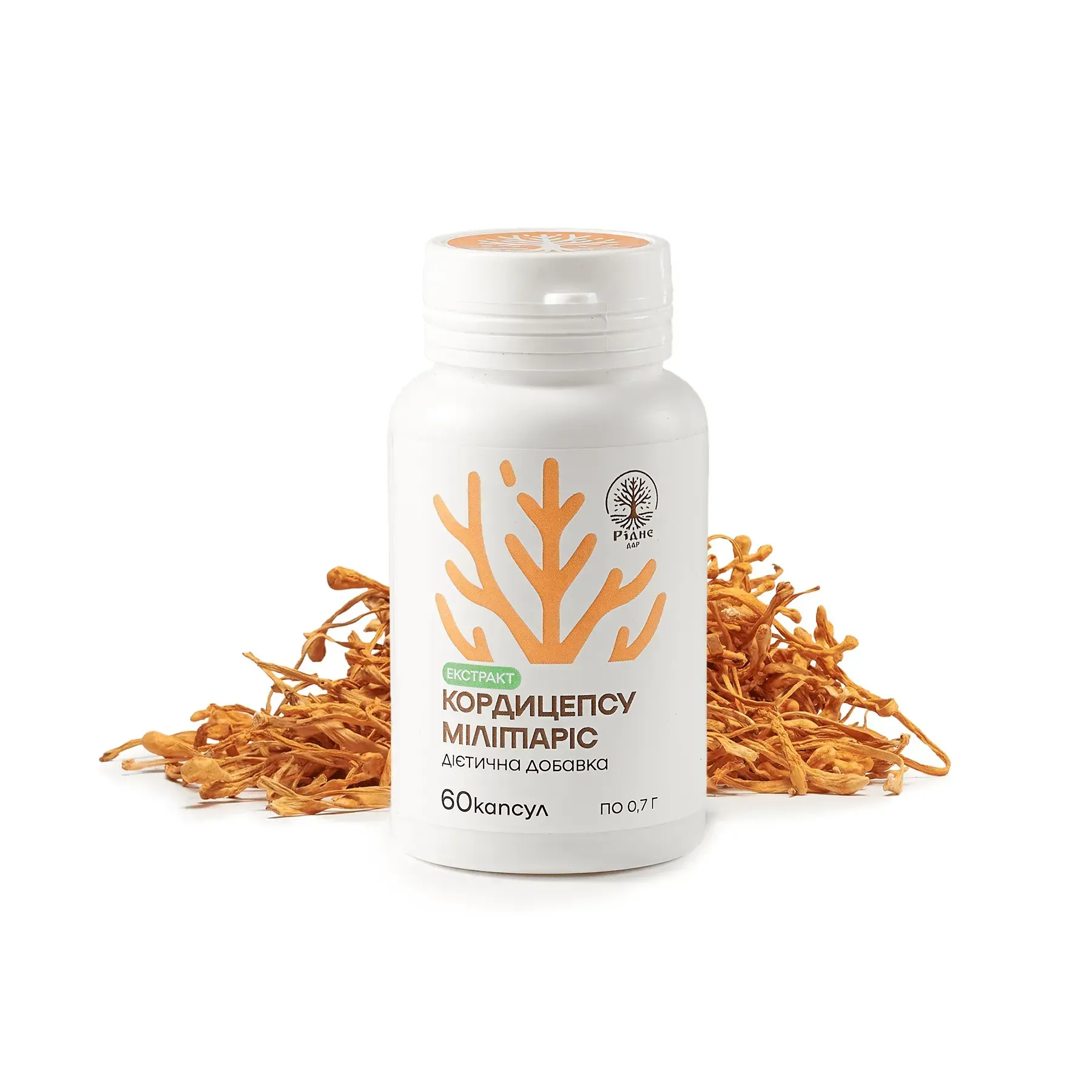 Кордицепс (Екстракт 1:10) 700 мг